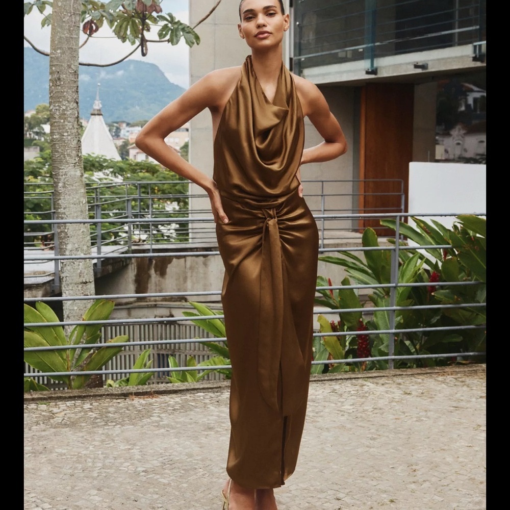 Zara Metallic Brown Backless Dress